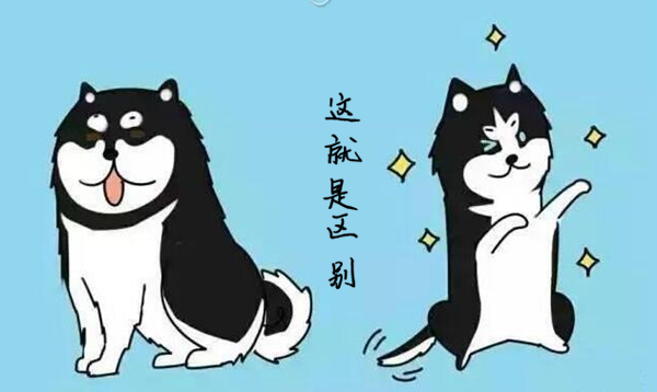 軟文營銷干貨看了很多，但在這3個方面，你一直被騙了！