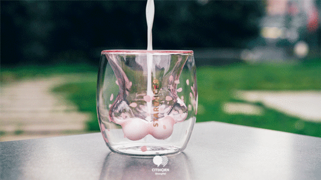 貓爪杯是怎么賣瘋的？星巴克的一次成功營銷