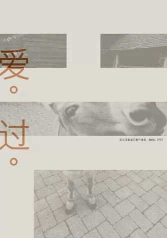 創(chuàng)意？反叛？什么才是好文案